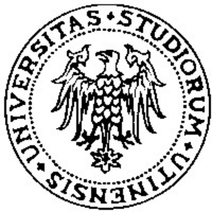 University of Udine