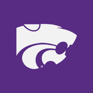 Salina logo