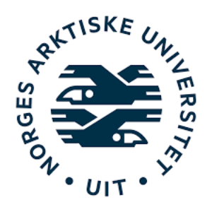 UiT The Arctic University of Tromso iSchoolConnect