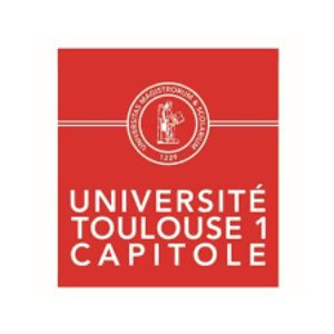 Toulouse 1 University Capitole